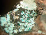 Mineralien Mansfelder Revier Eckhardthütte Brochantit
