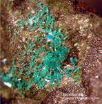 Mineralien Mansfelder Revier Eckhardthütte Brochantit