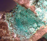 Mineralien Mansfelder Revier Eckhardthütte Brochantit