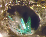 Mineralien Mansfelder Revier Eckhardthütte Brochantit