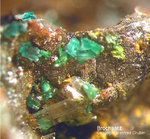 Mineralien Mansfelder Revier Eckhardthütte Brochantit