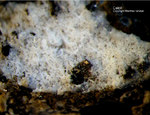Mineralien Mansfelder Revier Eckhardthütte Calcit