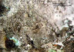 Mineralien Mansfelder Revier Eckhardthütte Hemimorphit