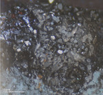 Mineralien Mansfelder Revier Kupferkammerhütte Hettstedt Cuprit