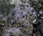 Mineralien Mansfelder Revier Kupferkammerhütte Hettstedt Elyit