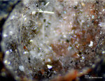 Mineralien Mansfelder Revier Kupferkammerhütte Hettstedt Gips