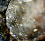Mineralien Mansfelder Revier Kupferkammerhütte Hettstedt Gips