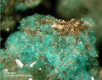 Mineralien Mansfelder Revier Kupferkammerhütte Hettstedt Ktenasit