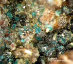 Mineralien Mansfelder Revier Kupferkammerhütte Hettstedt Ktenasit