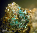 Mineralien Mansfelder Revier Kupferkammerhütte Hettstedt Ktenasit