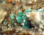 Mineralien Mansfelder Revier Kupferkammerhütte Hettstedt Ktenasit
