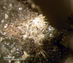 Mineralien Mansfelder Revier Kupferkammerhütte Hettstedt Laurionit