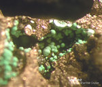 Mineralien Mansfelder Revier Kupferkammerhütte Hettstedt Malachit