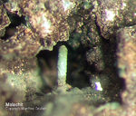 Mineralien Mansfelder Revier Kupferkammerhütte Hettstedt Malachit