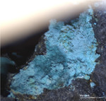Mineralien Mansfelder Revier Kupferkammerhütte Hettstedt Malachit