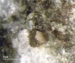 Harz Mineralien Steinbruch Gabbro Pyrit