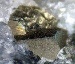 Harz Mineralien Steinbruch Gabbro Pyrit