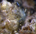 Eifel Mineralien Bellerberg Klinopyroxen