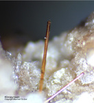 Eifel Mineralien Bellerberg Klinopyroxen