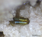 Eifel Mineralien Bellerberg Klinopyroxen