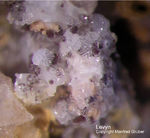 Eifel Mineralien Bellerberg Levyn