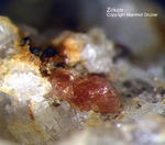 Eifel Mineralien Bellerberg Zirkon