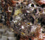 Eifel Mineralien Bellerberg Zirkon