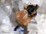 Eifel Mineralien Bellerberg Zirkon