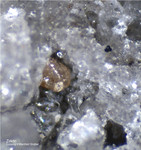 Eifel Mineralien Bellerberg Zirkon