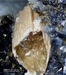 Eifel Mineralien Graulei Saponit