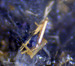 Eifel Mineralien Graulei Saponit