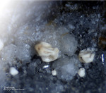 Eifel Mineralien Hannebacher Ley Cristobalit