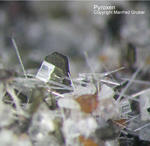 Eifel Mineralien Hannebacher Ley Pyroxen Klinopyroxen