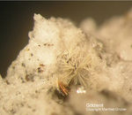 Eifel Mineralien Mendig Götzenit