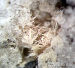 Eifel Mineralien Mendig Götzenit