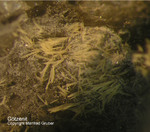 Eifel Mineralien Mendig Götzenit