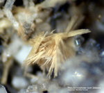 Eifel Mineralien Mendig Götzenit Pseudomorphose