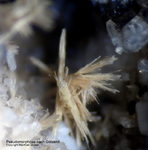 Eifel Mineralien Mendig Götzenit Pseudomorphose