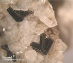 Eifel Mineralien Mendig Pyroxen