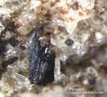 Eifel Mineralien Mendig Pyroxen