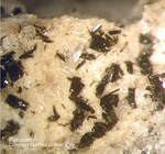 Eifel Mineralien Mendig Pyroxen