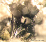 Eifel Mineralien Mendig Pyroxen