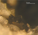 Eifel Mineralien Mendig Pyroxen