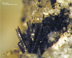 Eifel Mineralien Mendig Pyroxen
