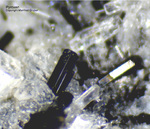 Eifel Mineralien Mendig Pyroxen