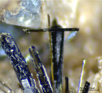 Eifel Mineralien Mendig Pyroxen