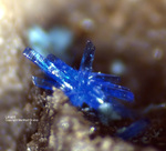 Mineralien Mansfelder Revier Kupferkammerhütte Hettstedt Linarit