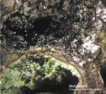 Mineralien Mansfelder Revier Kupferkammerhütte Hettstedt Molybdänit