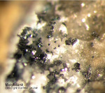 Mineralien Mansfelder Revier Kupferkammerhütte Hettstedt Molybdänit