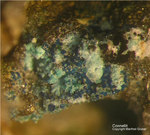 Mineralien Mansfelder Revier Kupferkammerhütte Hettstedt Connellit